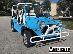 affordable golf cart rental, golf cart rent miami, cart rental miami