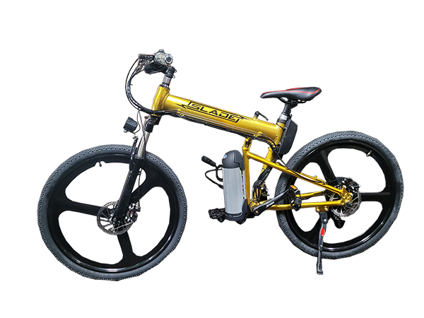 ebike rental, electric bike rental, ebike rentals