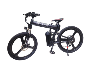 ebike rental, electric bike rental, ebike rentals