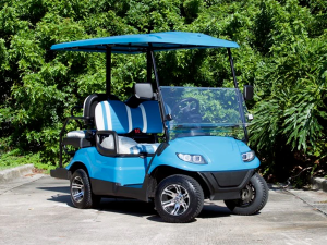 golf cart of miami, golf cart rental, street legal lsv